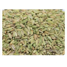 High quality  fennel seeds